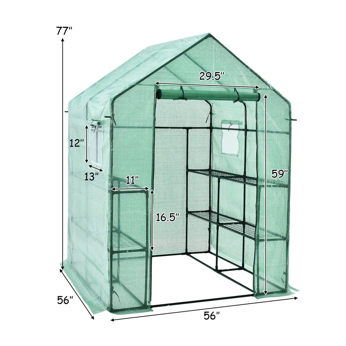 Walk-In Greenhouse with Observation Windows I329