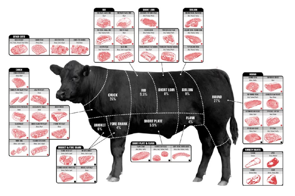 27x40 Square Beef Cuts Butcher Chart Poster W753729