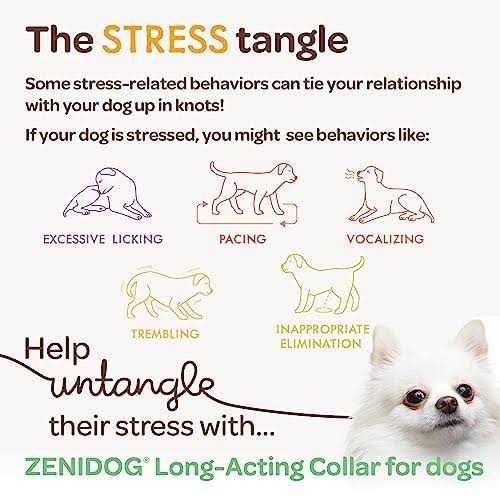 Long-acting Collar Medium/large A658757