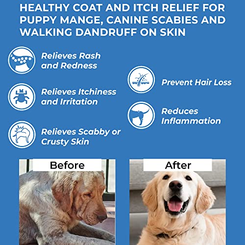 All Natural Skin Pills for Dogs M582270