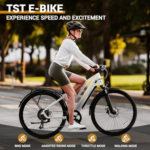 26" Tire Electric Bicycle with 360Wh Removable Battery P4706
