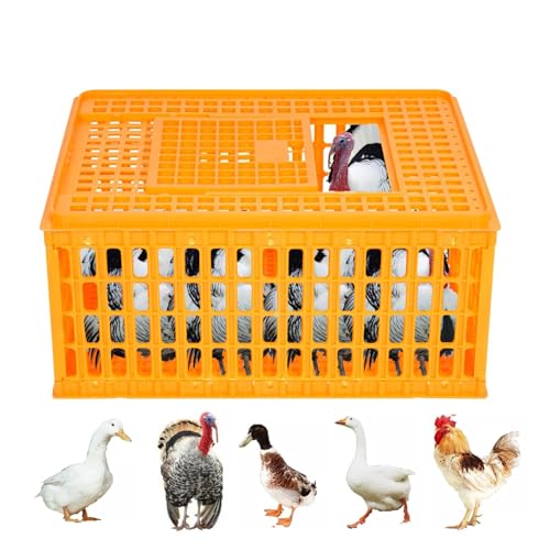 Heavy Duty Plastic Poultry Carrier Crate X707166