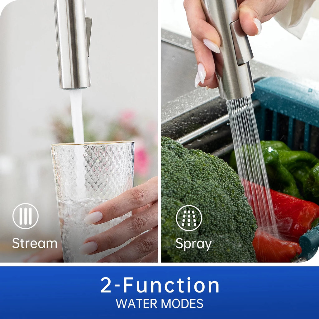 Brushed Nickel Kitchen Faucet with Sprayer and Soap Dispenser W950