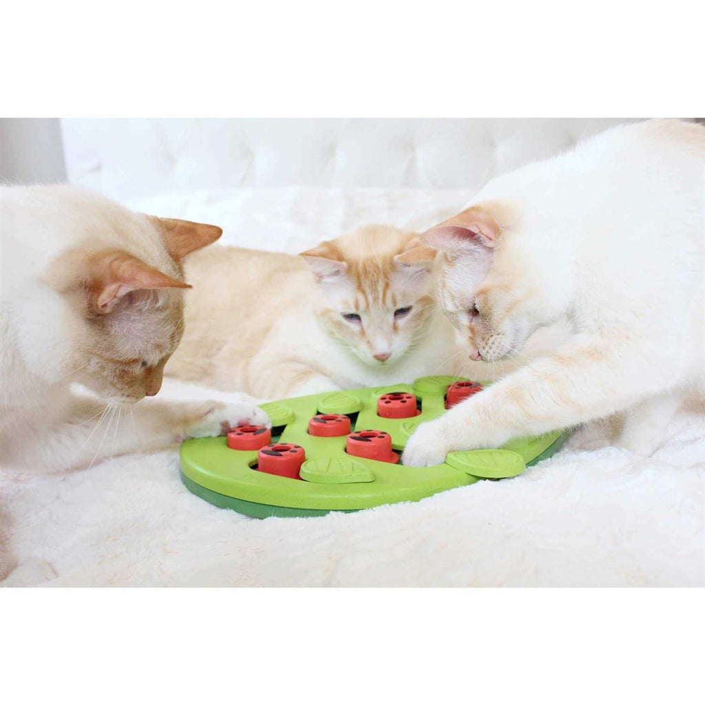 Cat Toy X31815