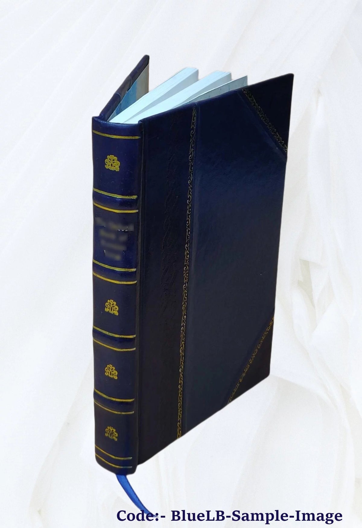 Leather Bound Book K550731