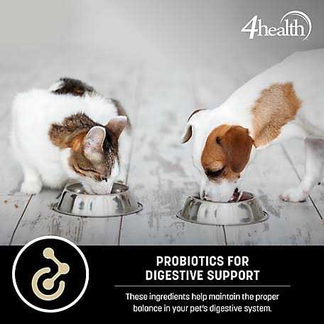 4health Special Care Adult Sensitive Skin Formula Dry Dog Food F659