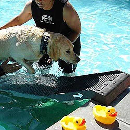 Pool Ramp for Dogs O787