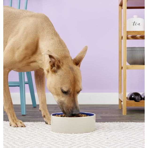 Dog Dish M562403