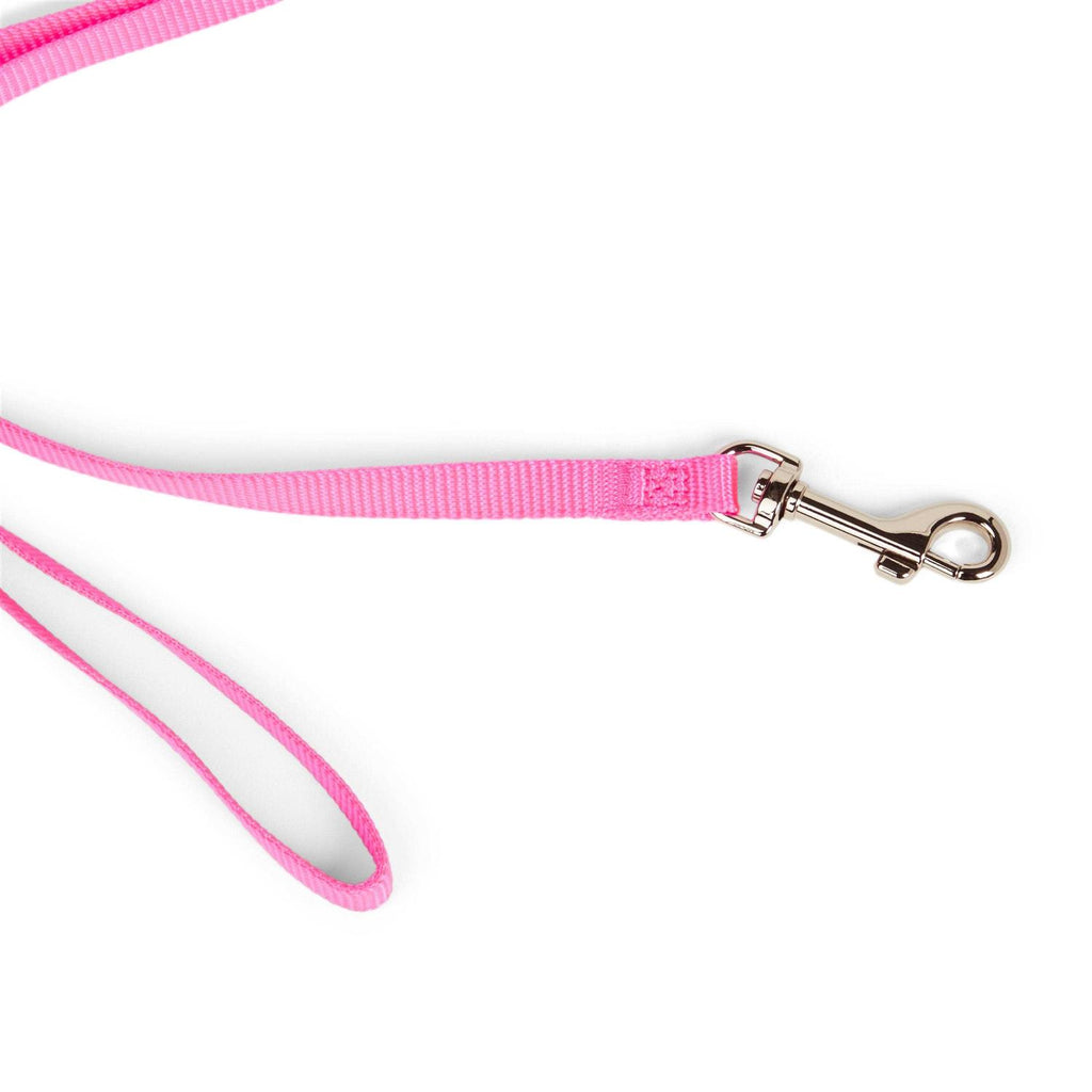 Dog Lead C979273