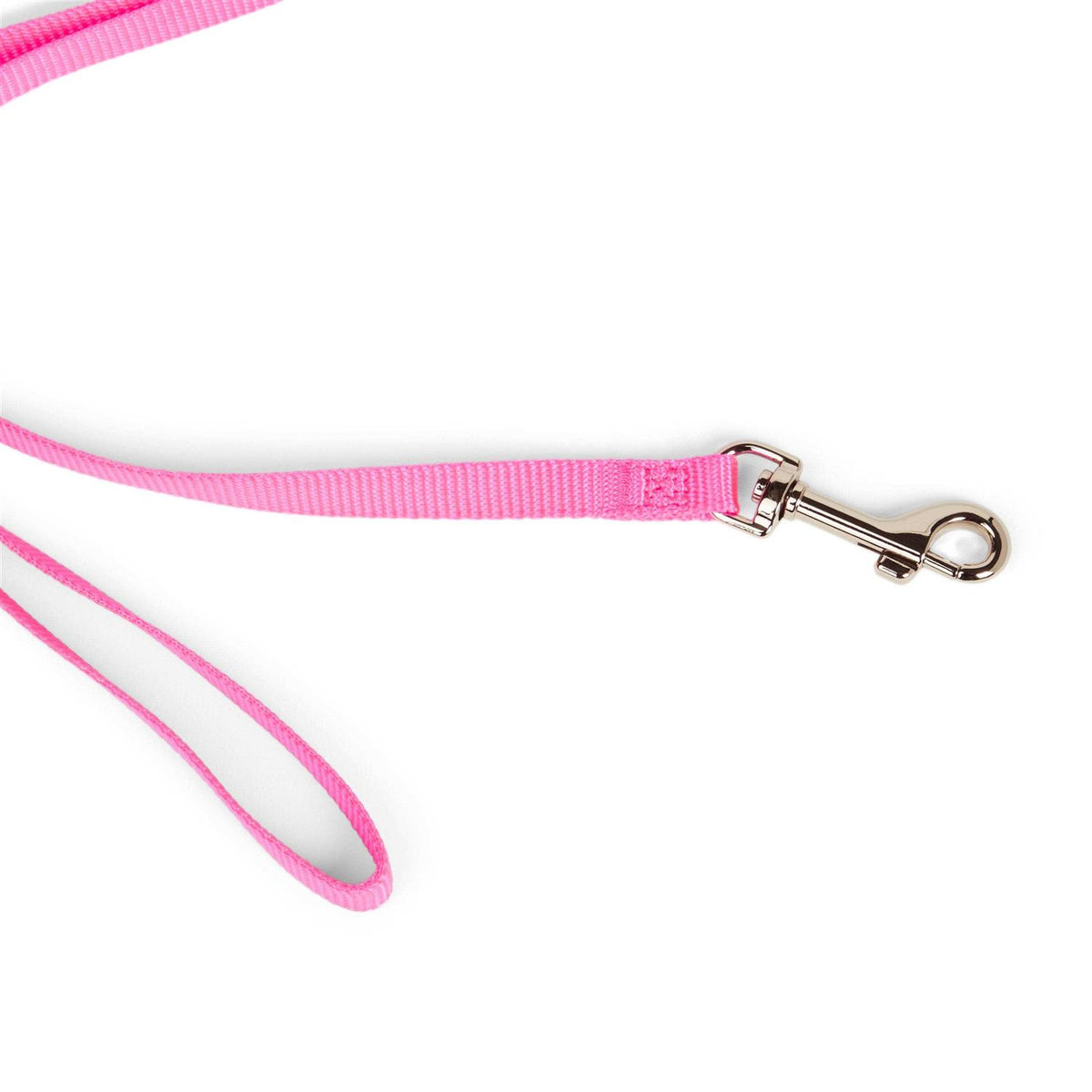 Dog Lead C979273