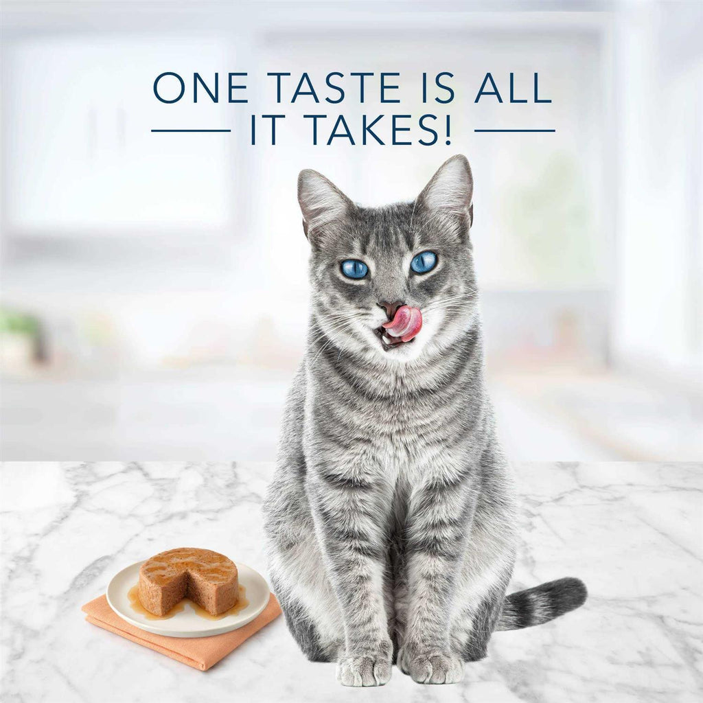 Chicken Salmon & Tuna Wet Cat Food Variety Pack H3103