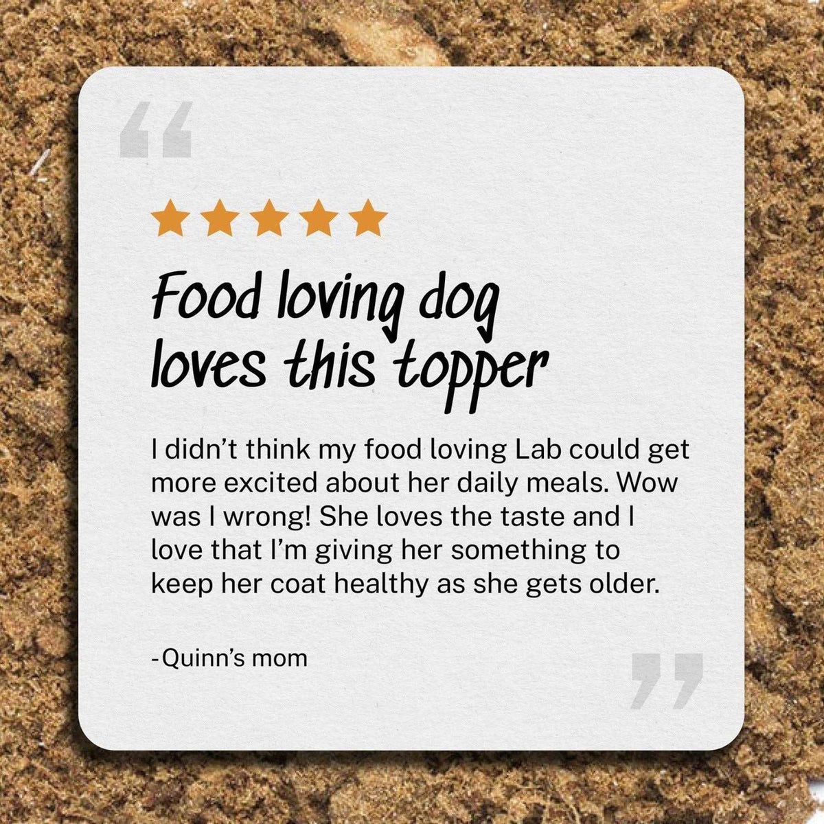 Beef Dog Food B868595