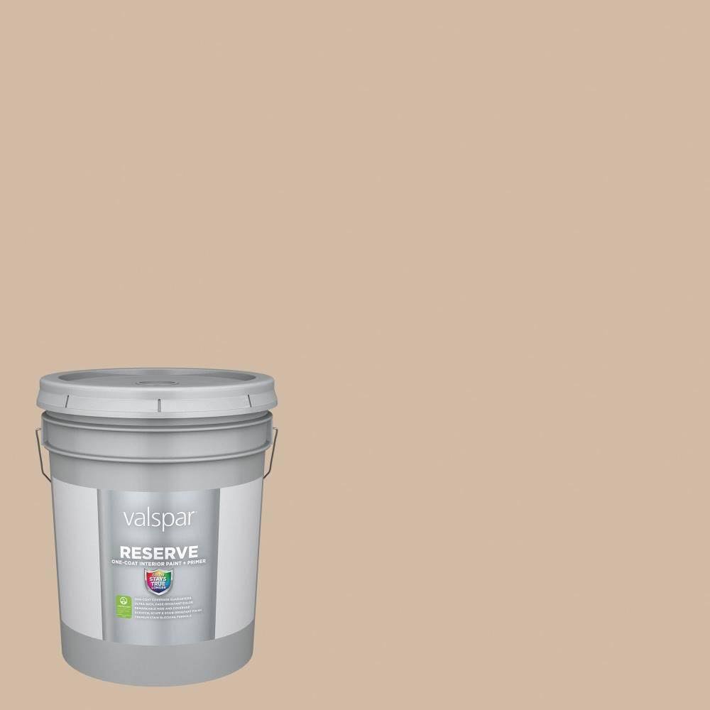 Eggshell Interior Paint 5-Gallon X92499