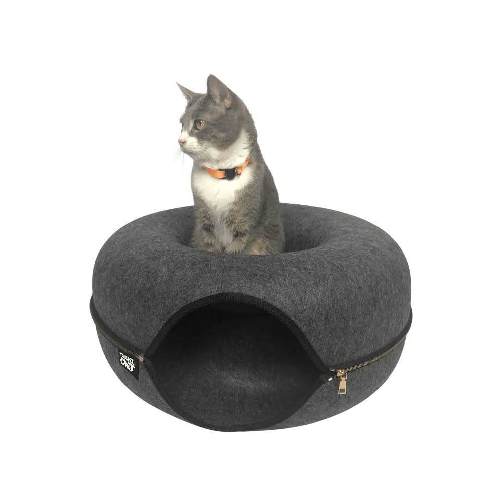 Cat Hideaway Cave Z474377