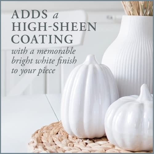 12 OZ High Gloss Spray Lacquer D83028