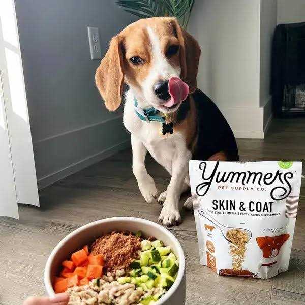 Beef Dog Food B868595