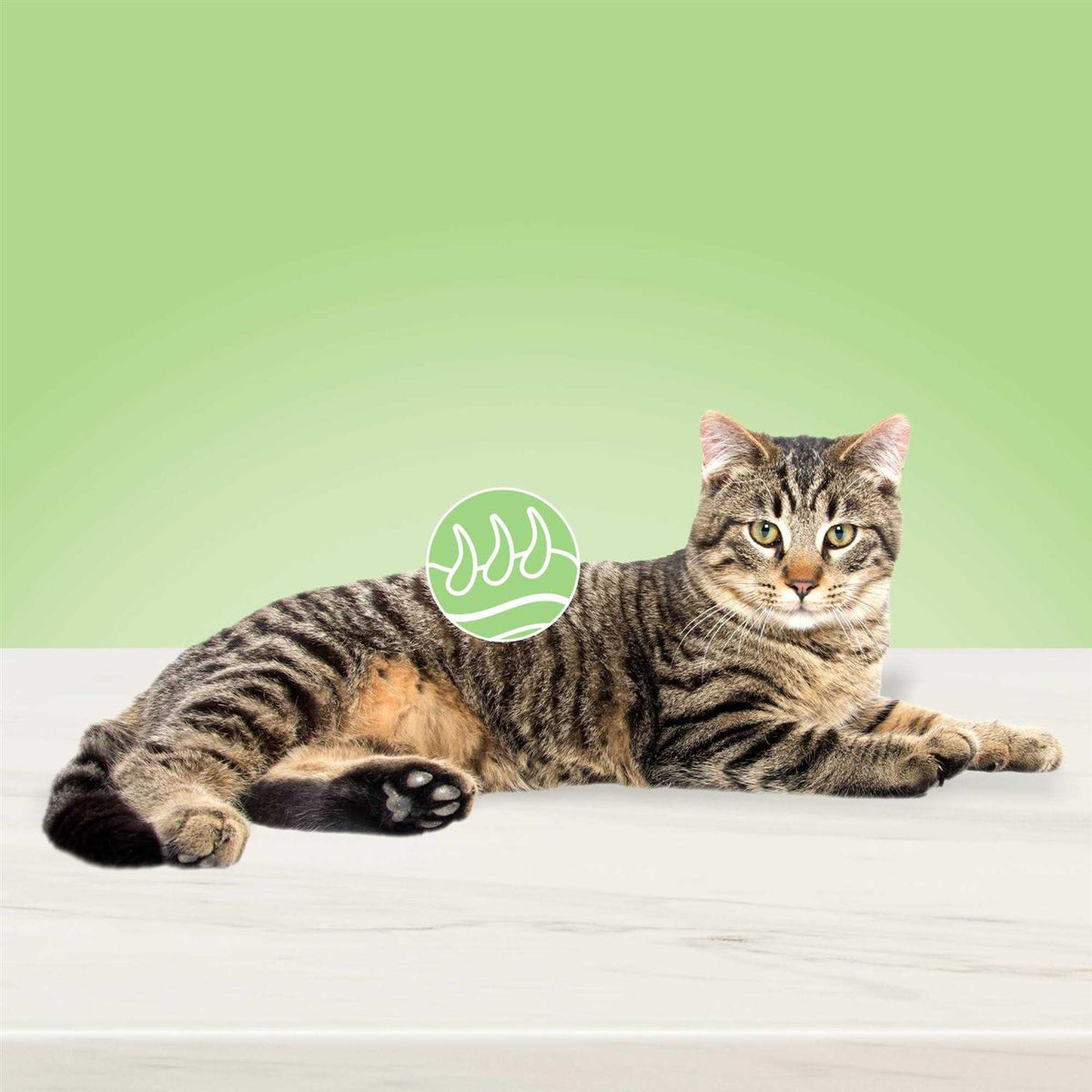 Adult Dry Cat Food T746079