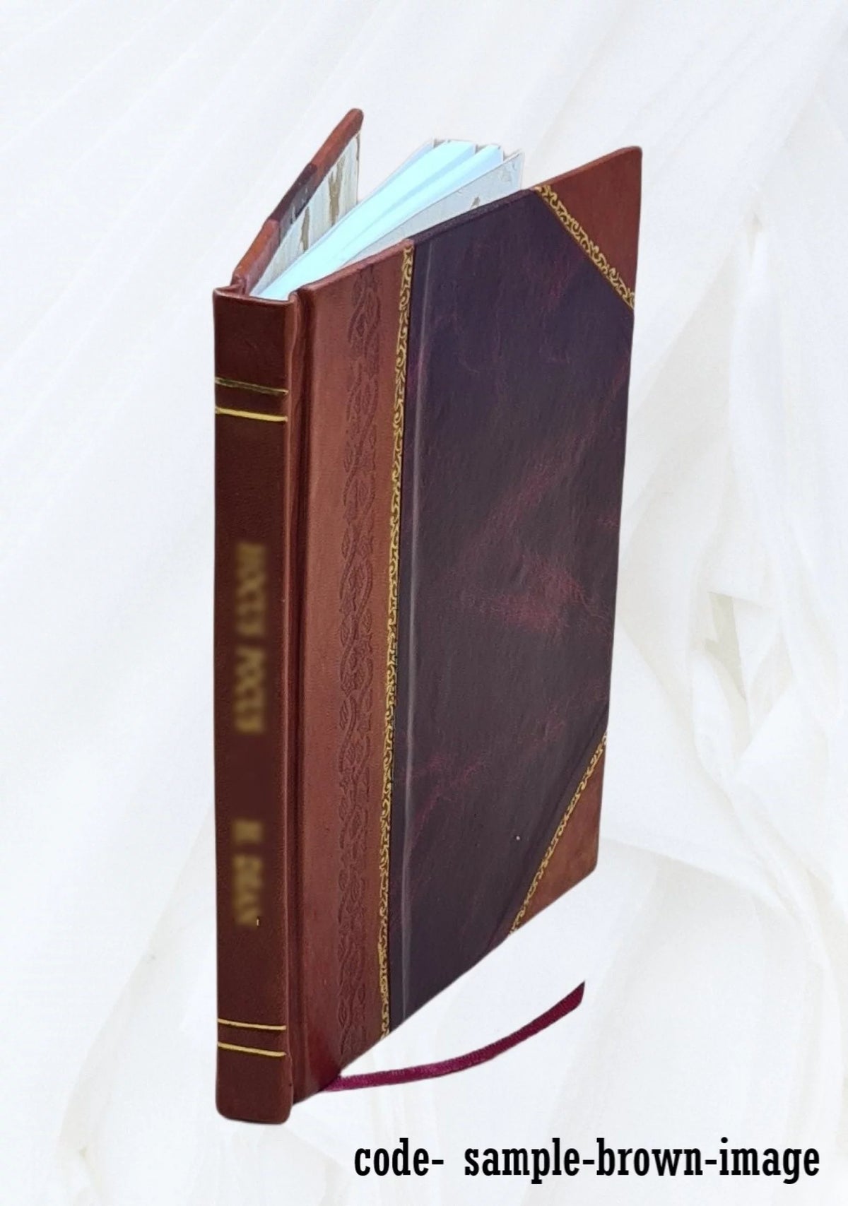 1569 Leather Bound Z72660