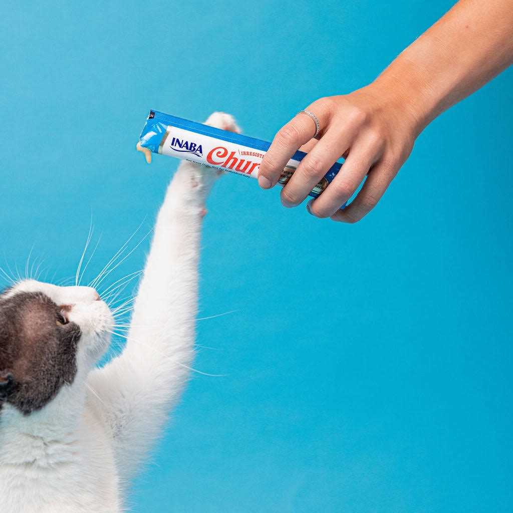 Chicken Recipe Cat Treat F5954