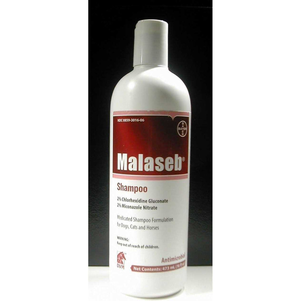 Shampoo 8 oz K265807