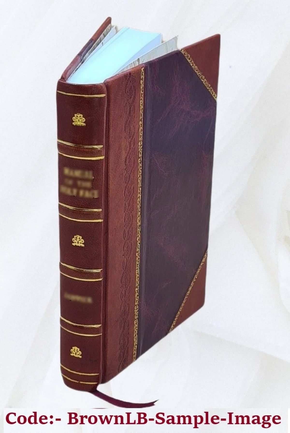 Leather Bound Book K550731