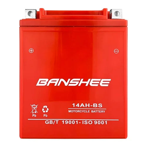 Replacement Battery, 235 CCA A615