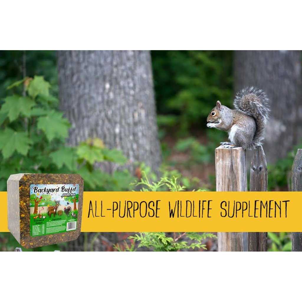 Backyard Buffet Wildlife Treat W6256