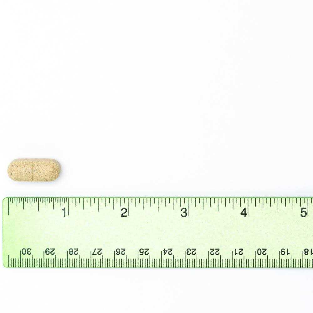 600 mg Hip & Joint Supplement for Dogs A54548
