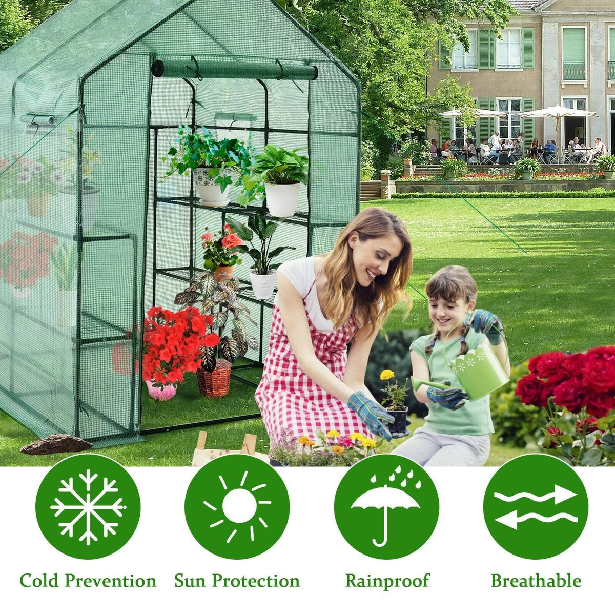Walk-In Greenhouse with Observation Windows I329