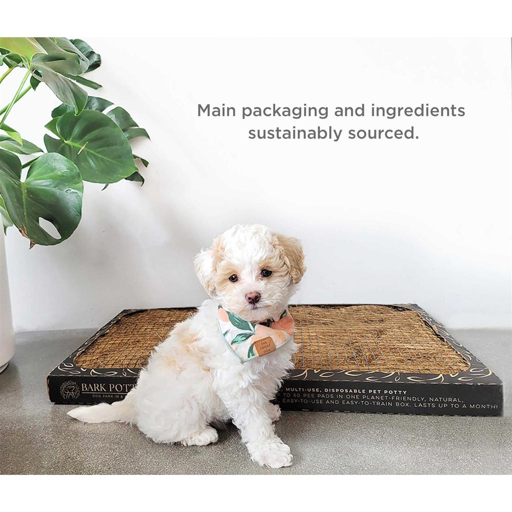 Natural Disposable Dog Potty Pad Y7753