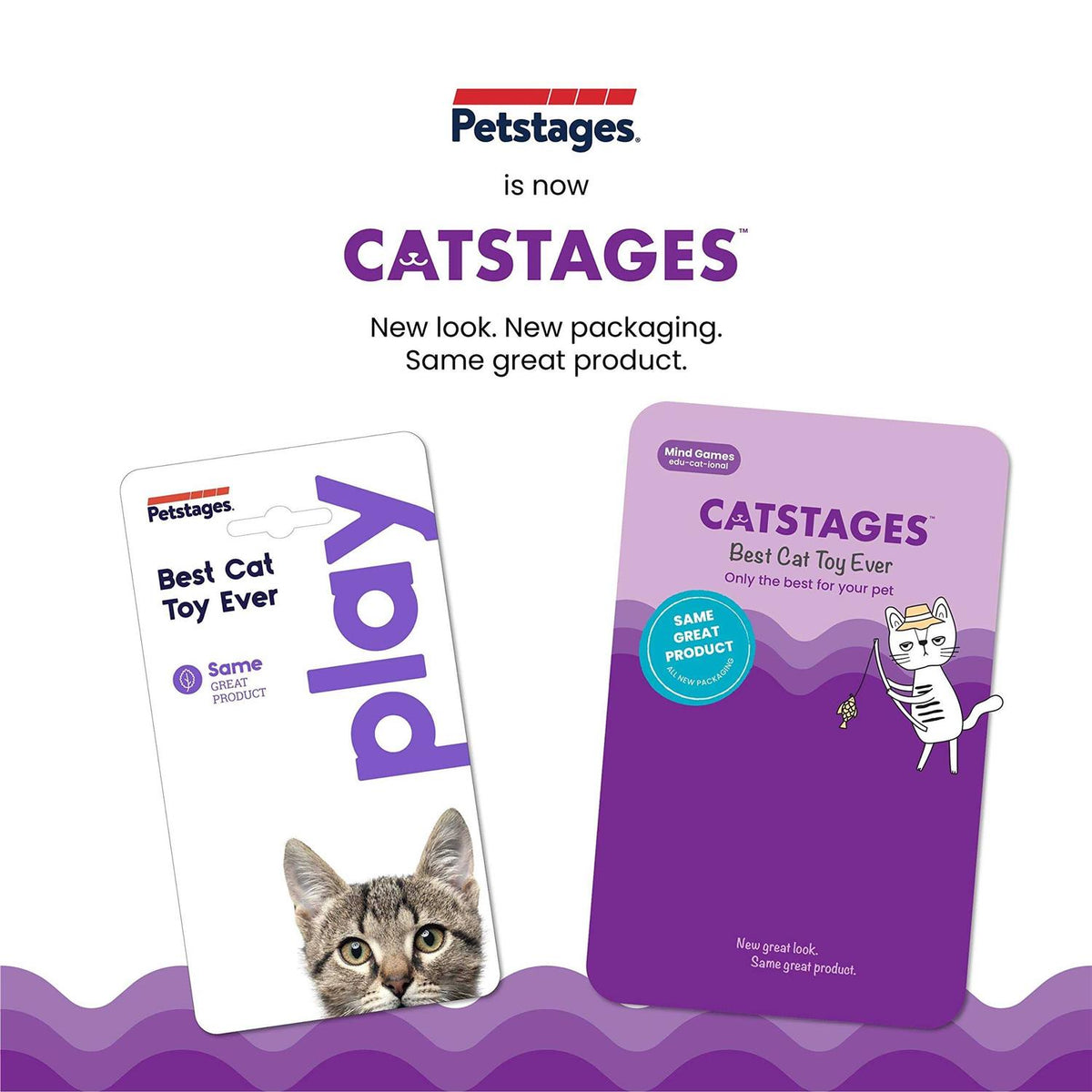 Cat Toy X31815