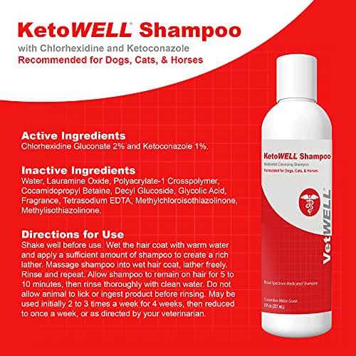 Antiseptic Dog Cat & Horse Shampoo T9116