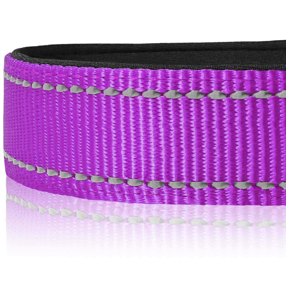 Reflective Neoprene Padded Nylon Adjustable Dog Collar O42234