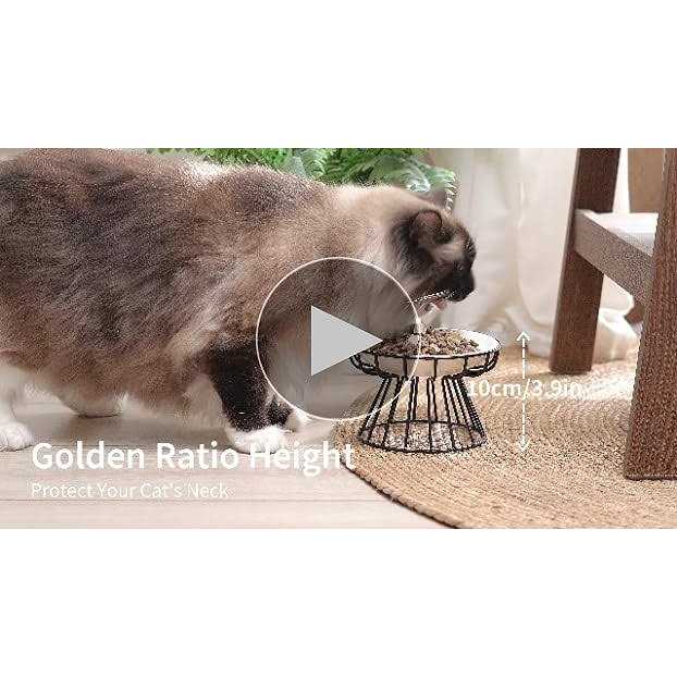 Elevated Ceramic Cat Bowl with Metal Stand E921