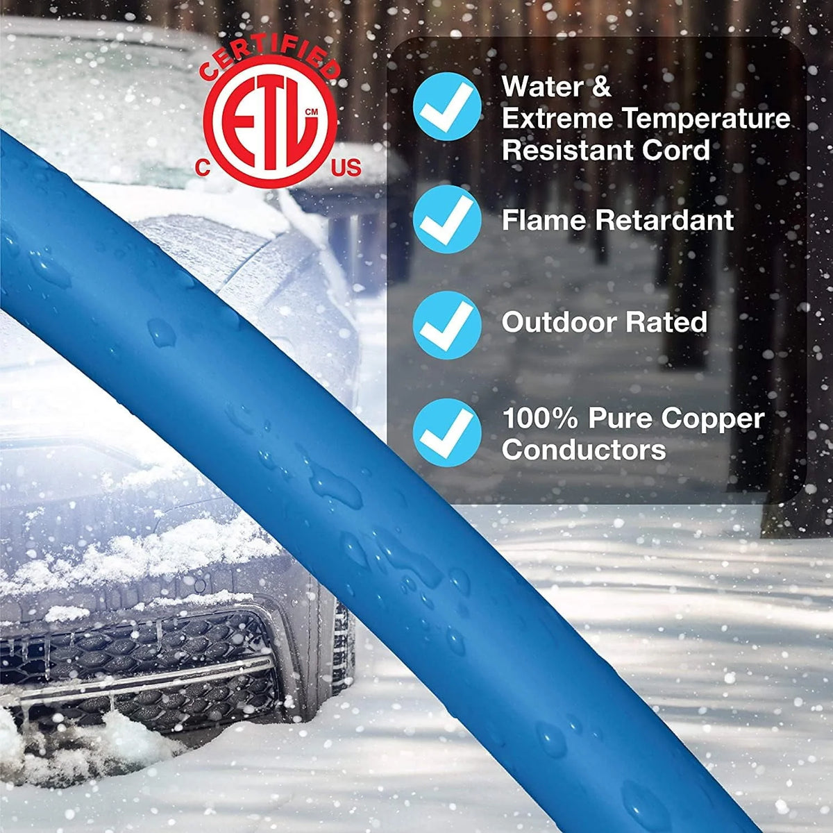 100 ft Extreme Cold Weather Outdoor Extension Cord W612698
