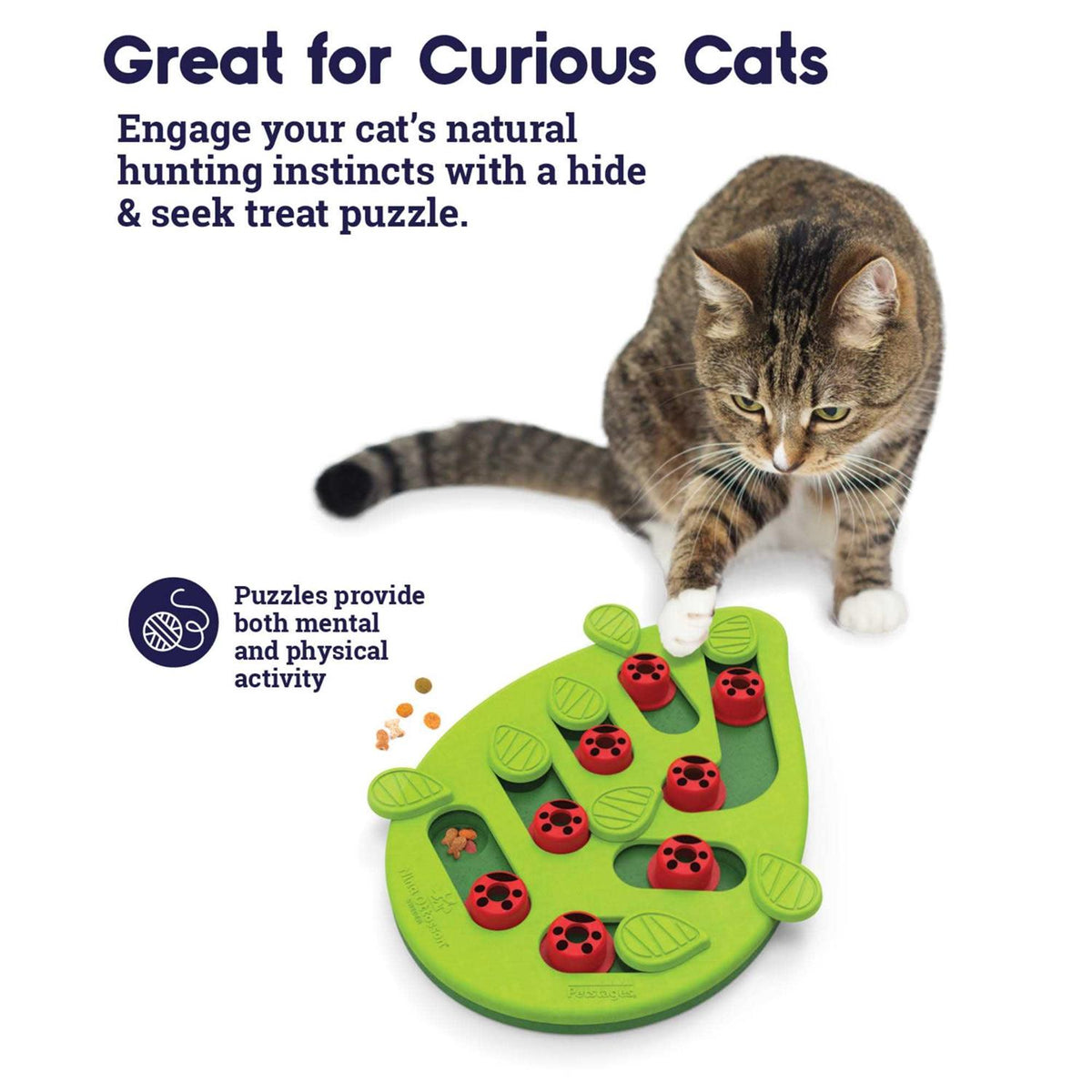 Cat Toy X31815