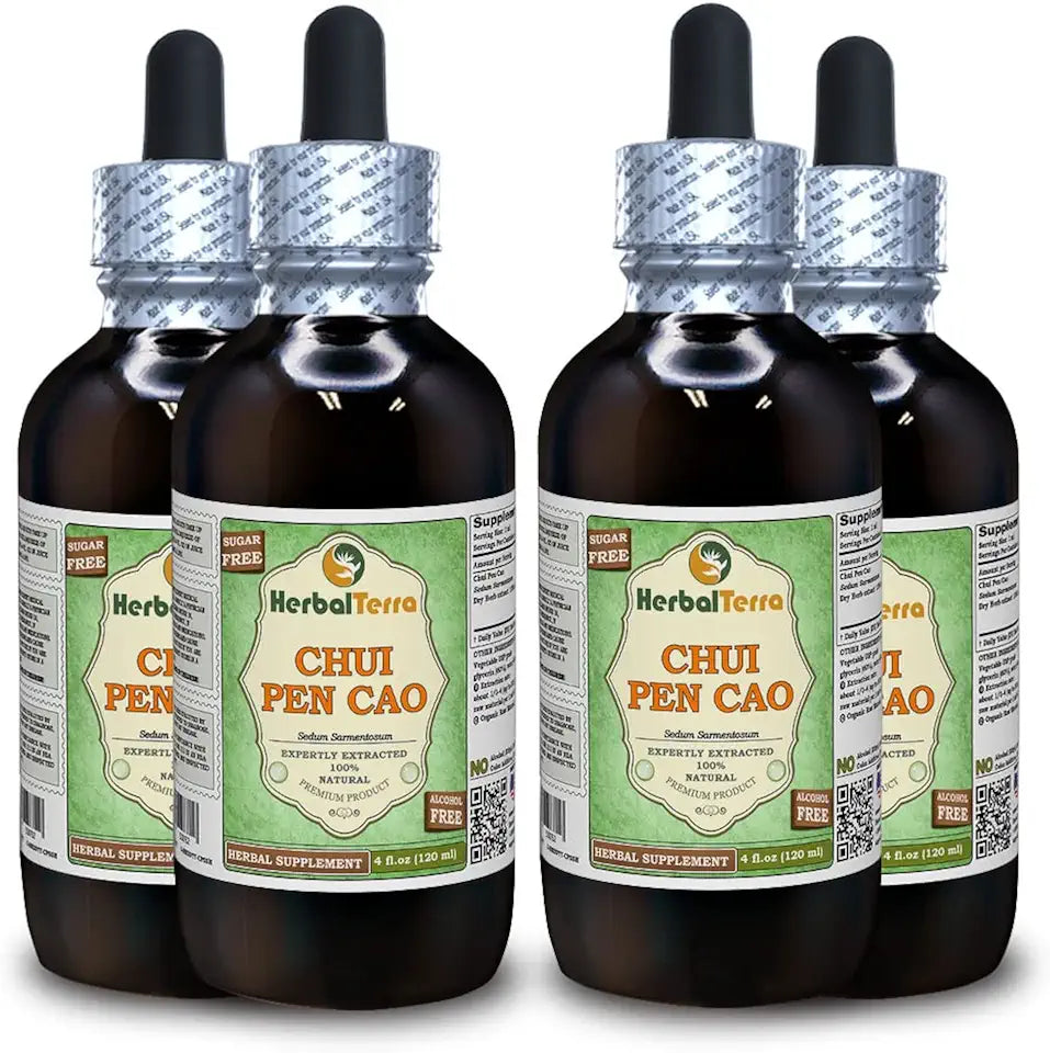 Sedum Sarmentosum Dried Herb Alcohol-Free Liquid Extract 4x4 fl.oz A258