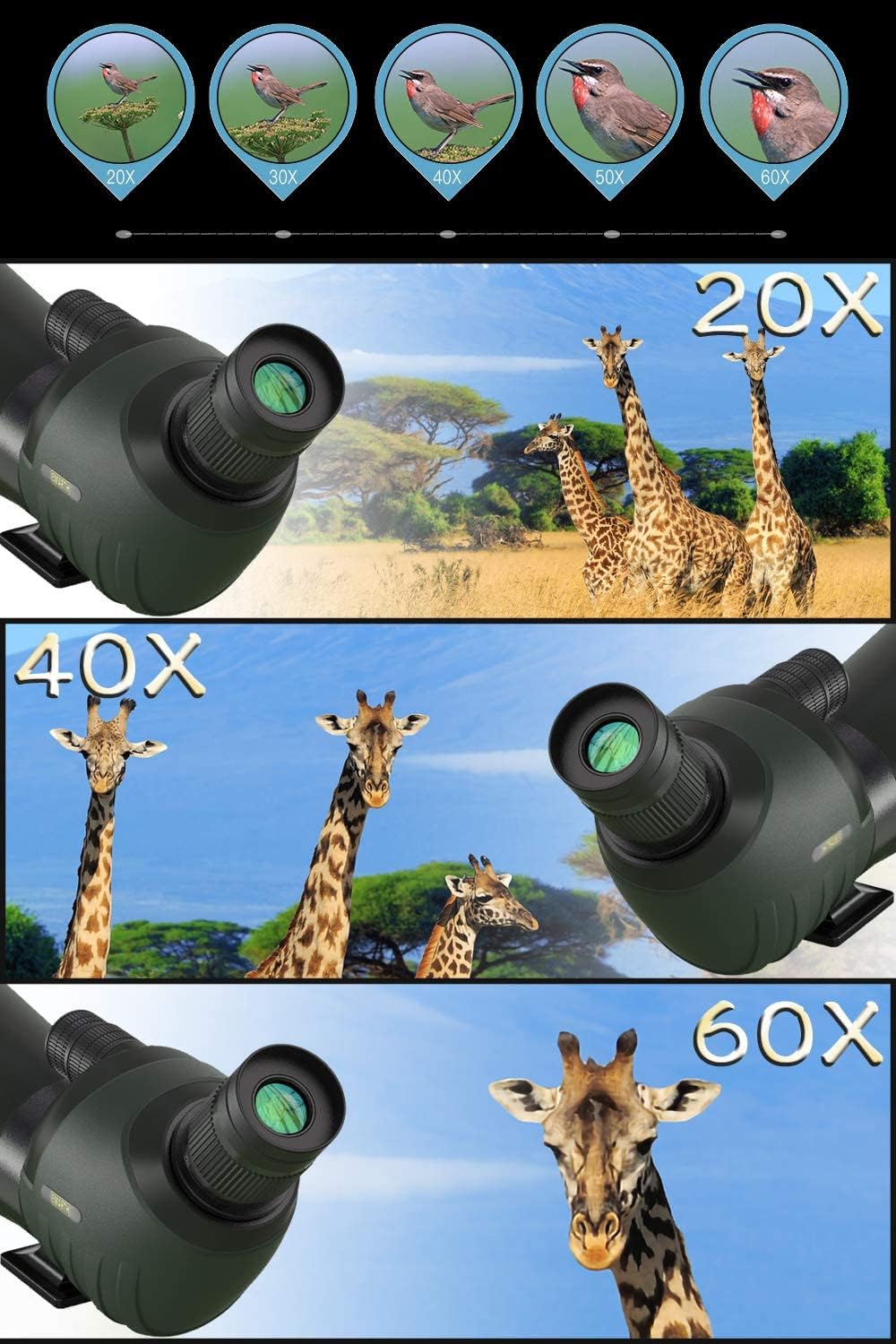20-60x80 HD Spotting Scope with Tripod H93857