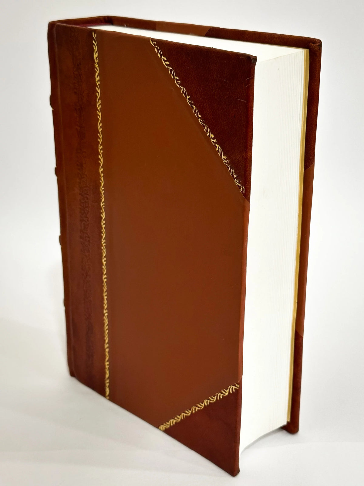 Dictionnaire Abrege Des Hommes Celebres De L'Antiquite Et Des Temps Modernes Leather Bound J592