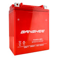Replacement Battery, 235 CCA A615