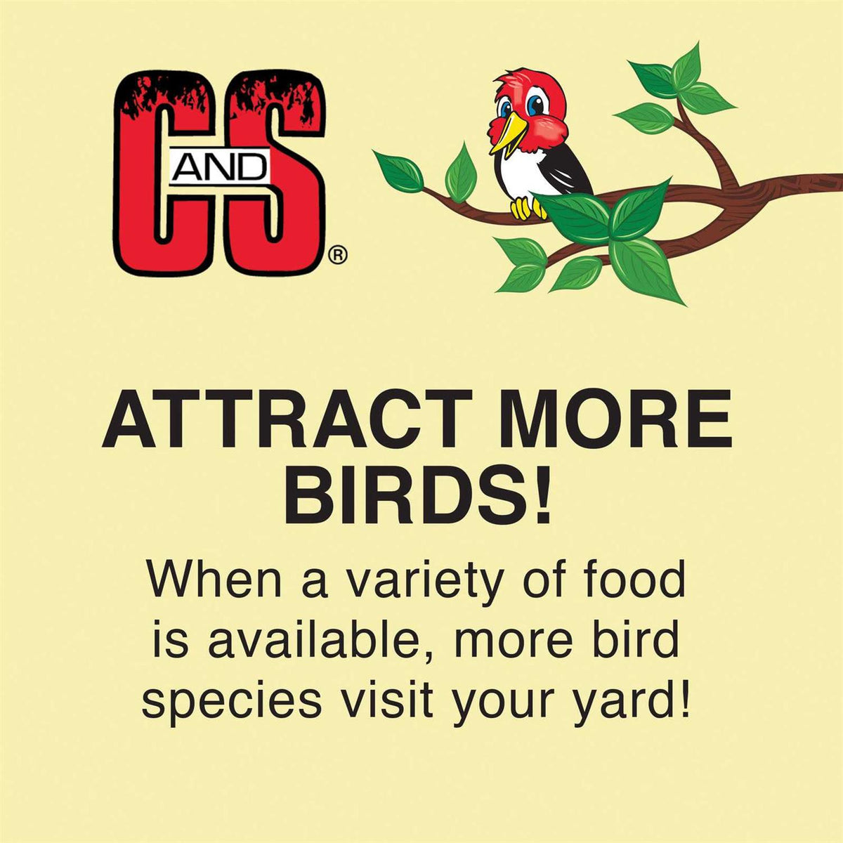 No Melt Suet Dough Wild Bird Food D129975