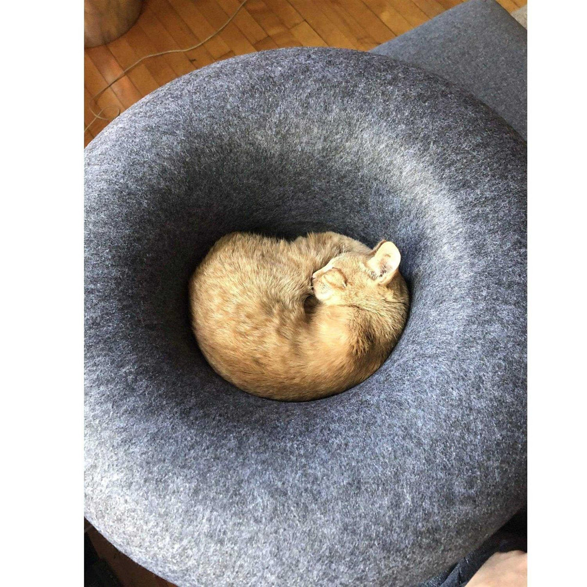 Cat Hideaway Cave Z474377