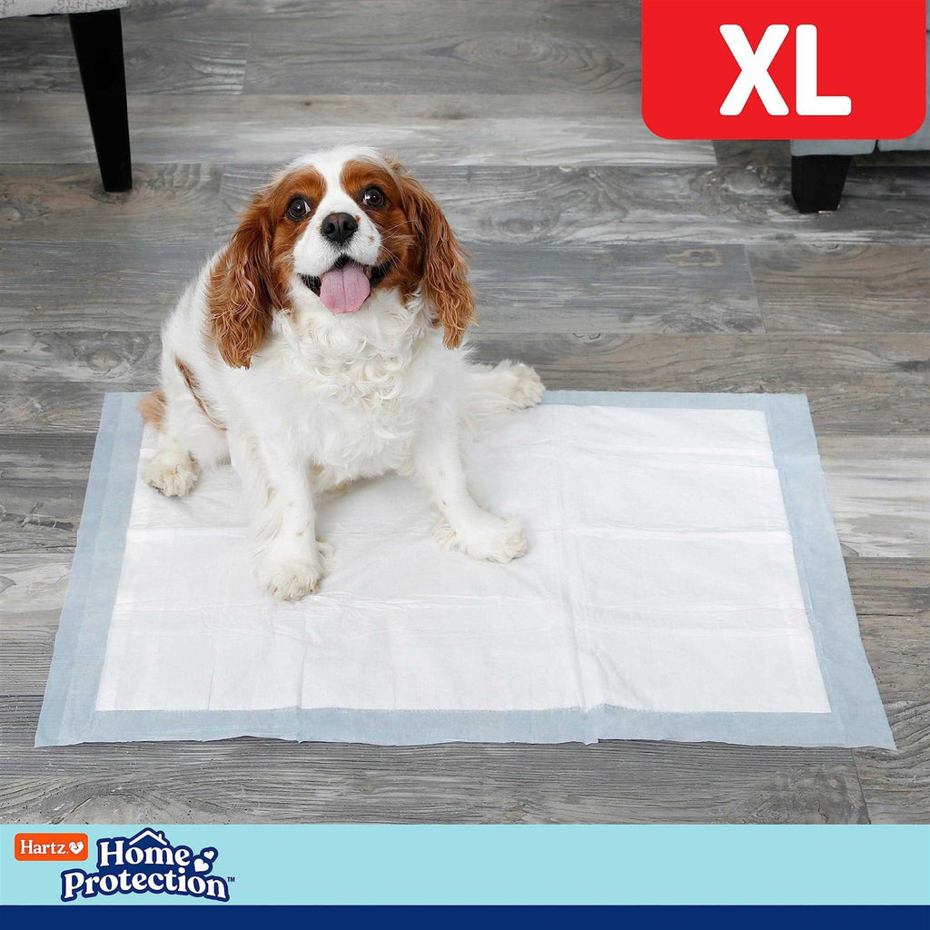 Dog Pads N928296