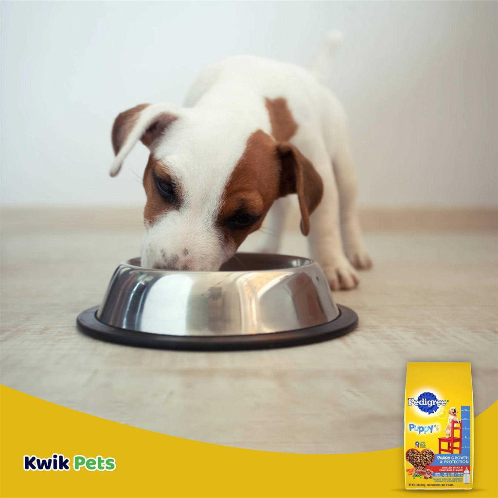 Dry Dog Food Vegetable Flavor B6207
