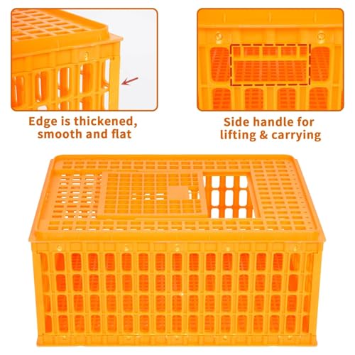 Heavy Duty Plastic Poultry Carrier Crate X707166