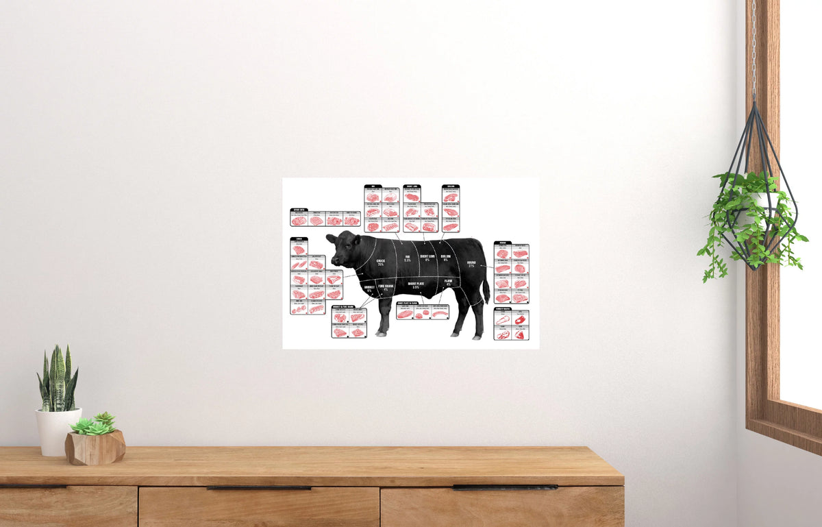 27x40 Square Beef Cuts Butcher Chart Poster W753729