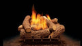18x22 Gas Burner L476