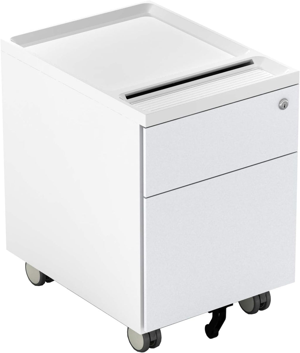 2 Drawer Metal File Cabinet with Lock and Casters Q246