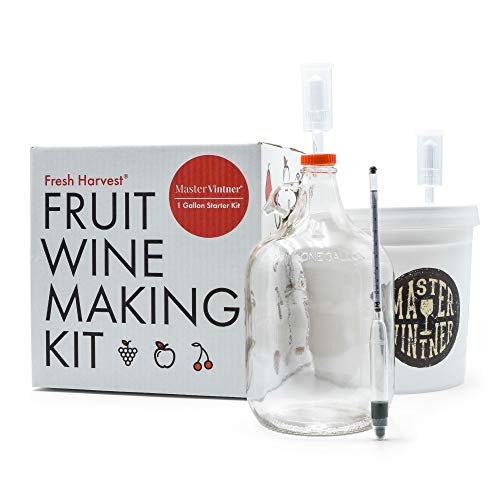 One Gallon Fruit Wine Making Kit B771113