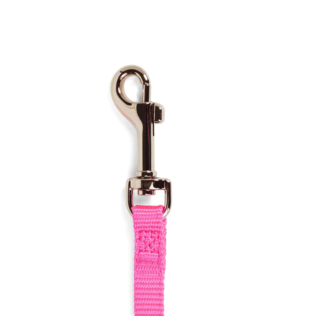 Dog Lead C979273